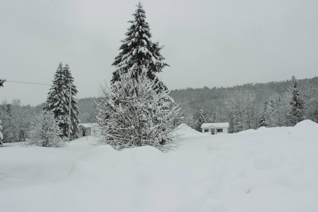 Chalet Au Bord Du St-Maurice La Tuque Exterior foto